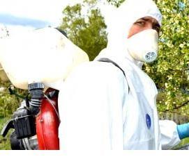 Дезинсекция столовой - вариант 3