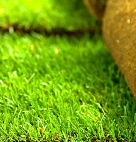 Домашний газон - модель 1