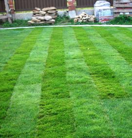 Домашний газон - модель 3