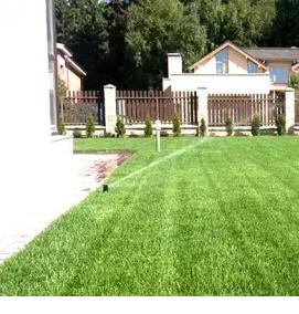 Домашний газон - модель 2
