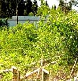 Дорожный рабочий разнорабочий - модель 1