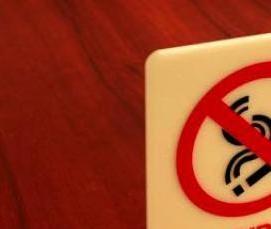 Дсп 21 мм - модель 3