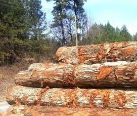 Дубовые бревна - вариант 4