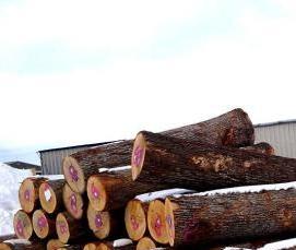 Дубовые бревна - вариант 2