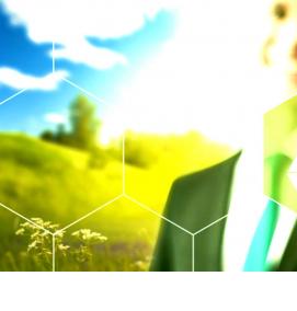 экологическое проектирование - вариант 1