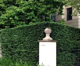 эксклюзивный - тип 1