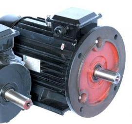 электродвигатель 55 квт - тип 4