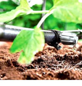 Емкость для полива на даче - вариант 4