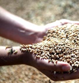 Емкость для зерна - вариант 2