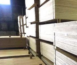 фанера 12 мм 2440 на 1220 мм - тип 2