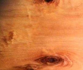 фанера фбс 12 - модель 4