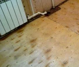 фанера толщиной 20 мм - тип 2