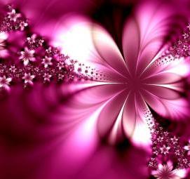 фотообои: фиолетовые цветы - вариант 4