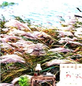 фотообои на стену: озеро - вариант 2