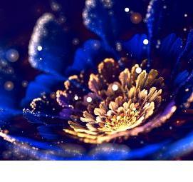 фотообои: синие цветы - тип 4