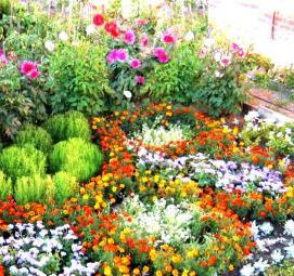 фотообои: синие цветы - тип 3