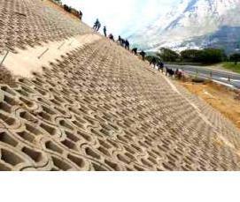 Георешетка для армирования асфальта - тип 3