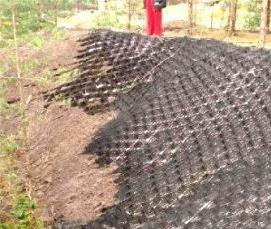 Георешетка для армирования асфальта - тип 2
