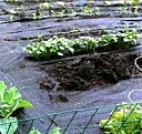садовая фигура гном с тележкой Новосибирск