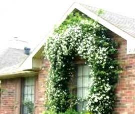 Геотекстиль для ландшафтного дизайна - тип 1