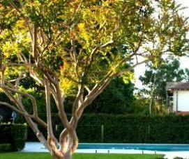 Геотекстиль для ландшафтного дизайна - тип 3