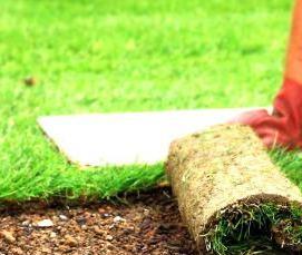 Геотекстиль под газон - вариант 4