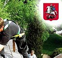 Аренда камаза самосвала без водителя Махачкала