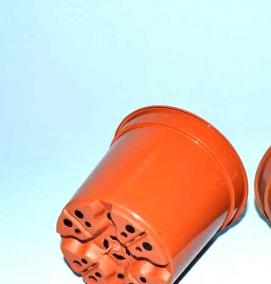 Горшки для рассады 5 литров - вариант 1