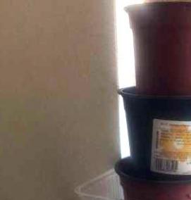 Горшки для рассады 5 литров - вариант 3