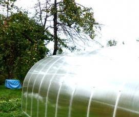 Готовые теплицы рублевские - модель 3