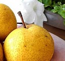 саженцы клубники из питомника Ульяновск