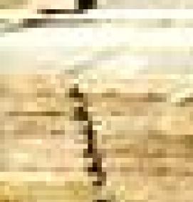 Имитация бруса 3000 мм - модель 1