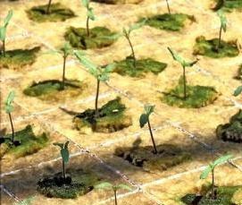 Каменная вата для гидропоники - вариант 3