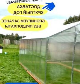 Каплевидная теплица - тип 1