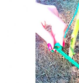 Колышки для грядок - вариант 3