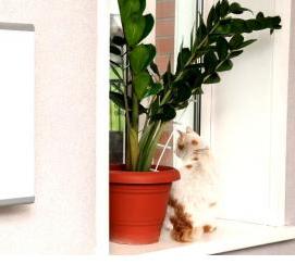 Комнатный проветриватель - тип 3