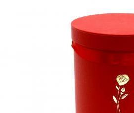 Коробка дверная 10 см - тип 1