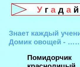 Ладожские теплицы - вариант 4