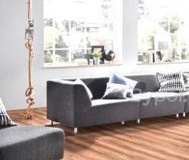 Ламинат Дуб Пастельный - тип 2