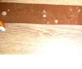 Ламинат Дуб Седан - вариант 2