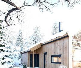 Ламинат Сосна Зимняя - тип 4