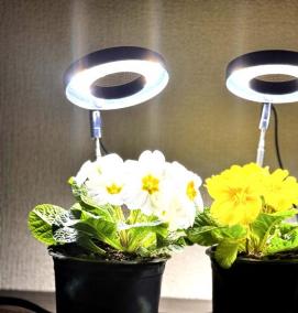 Лампа для рассады - модель 1