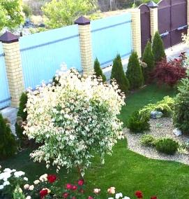 Ландшафтный дизайн клумбы - вариант 3