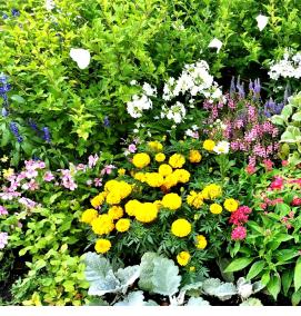 Ландшафтный дизайн клумбы - вариант 2