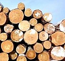 Аренда крыши для размещения оборудования сотовой связи Жуковский