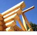 Лес кругляк Кедр Салават