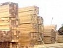 Линолеум Каприз Дольче Рубцовск