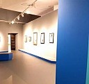 Линолеум Фаворит Картер Кисловодск
