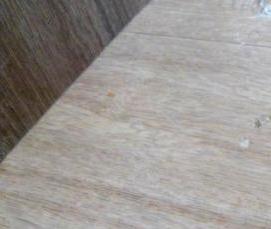 Линолеум Record Pure Oak 6182 - тип 4