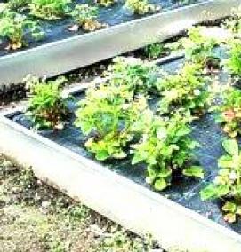 Металлические грядки - вариант 3